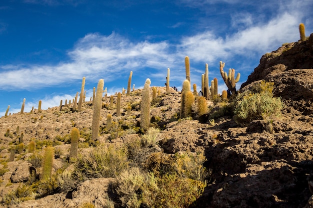 Uyuni salt marsh in Bolivia beautiful views sunsets and sunrises