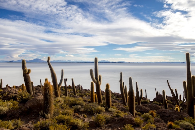 Uyuni salt marsh in Bolivia beautiful views sunsets and sunrises