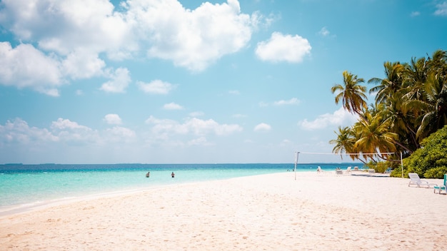 Vacation summer holidays background wallpaper sunny tropical Caribbean paradise beach with white sand in Seychelles Praslin island Thailand style with palms