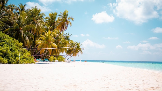 Vacation summer holidays background wallpaper sunny tropical Caribbean paradise beach with white sand in Seychelles Praslin island Thailand style with palms