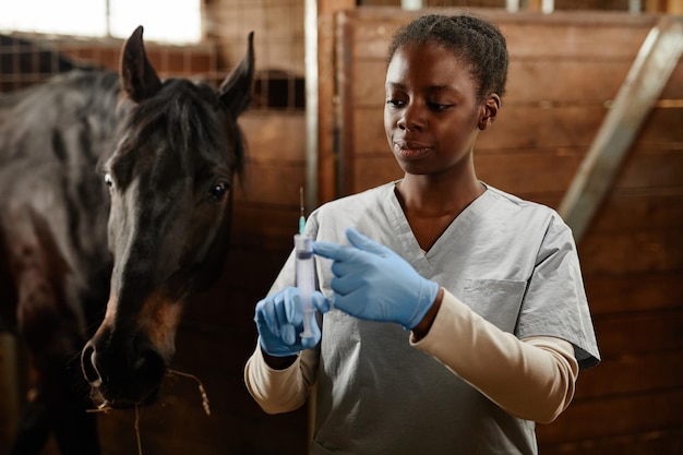 Vaccination in Horse Stables