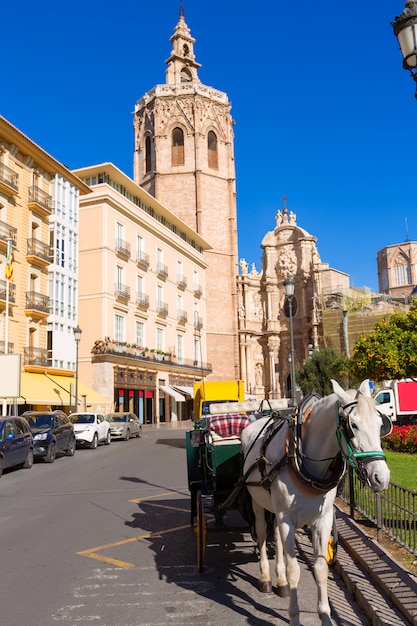 Valencia cathedral and Miguelete in plaza de la Reina