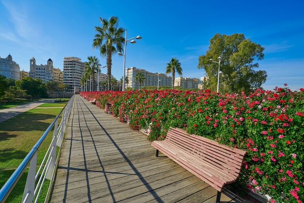 Valencia Puente de las Flores flowers bridge