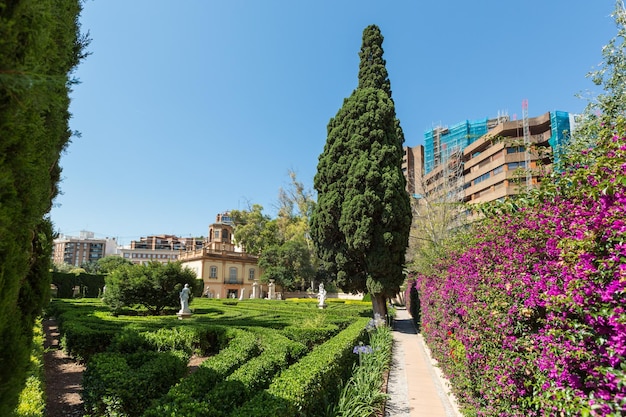 VALENCIA SPAIN june 19 2015 Fragments of Monforte Gardens in Valencia Spain Park scenery concept