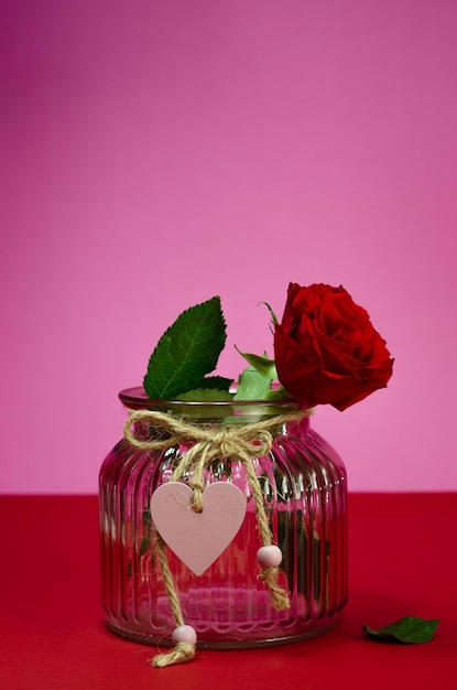 Valentine's day background. Red rose in a glass vase on a pink background.