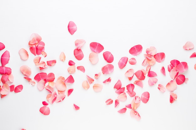 Valentine's Day. Rose flowers petals on white background. Valentines day background. Flat lay, top view, copy space.