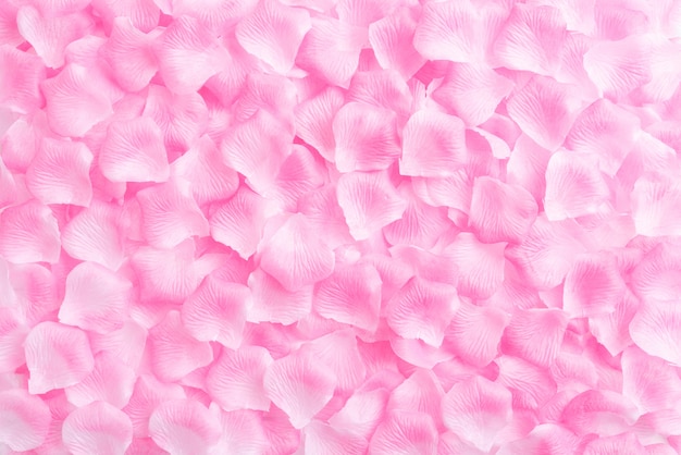 Valentines day background, pink roses petals on wooden background.