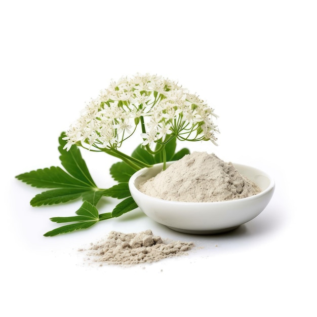 Valerian Extract white background