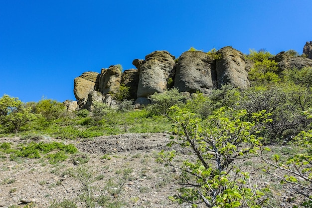 The Valley of Ghosts. Demerji. Green trees and bushes in the foreground. May 2021. Crimea.