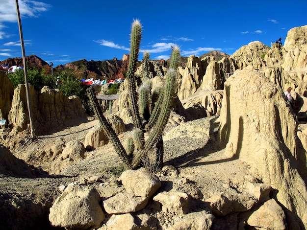 Valley of the Moon La Paz Bolivia