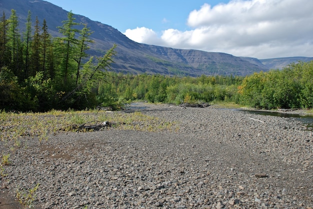 The valley of the river Mikchangda