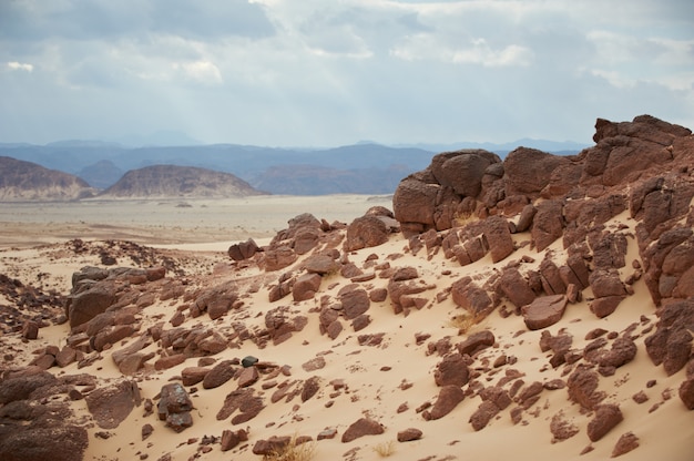 Valley in the Sinai desert with sand dunes and mountains