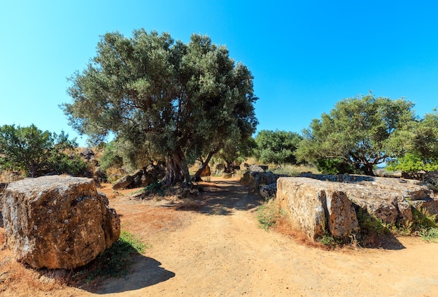 Valley of Temples Agrigento Sicily Italy