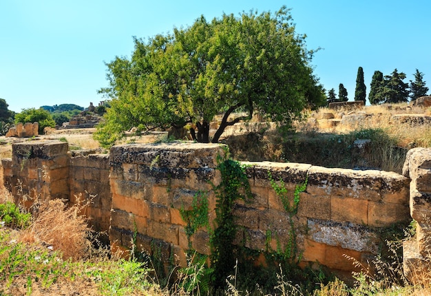 Valley of Temples Agrigento Sicily Italy