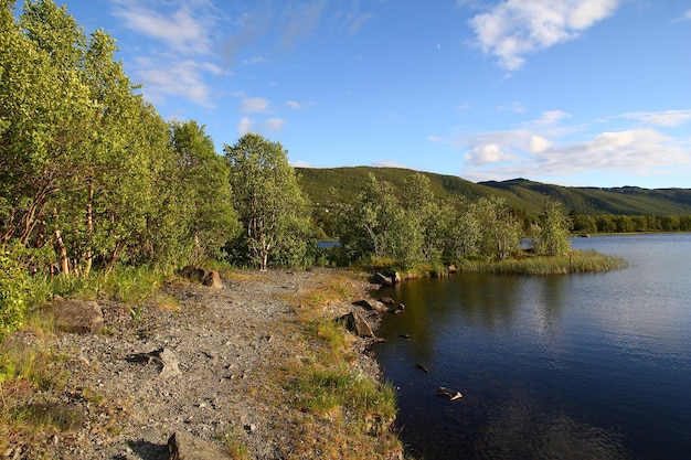 The valley with lake and forest in Norway Scandinavia