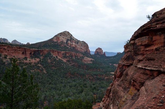 Valley with Trees Between Red Rock Buttes