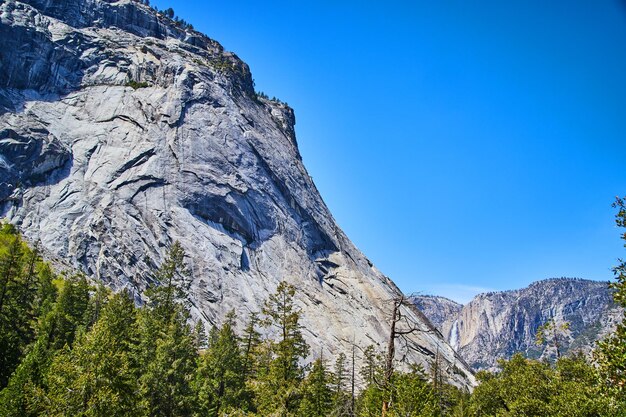 Valley of yosemite with pine tree forest and waterfall in distance