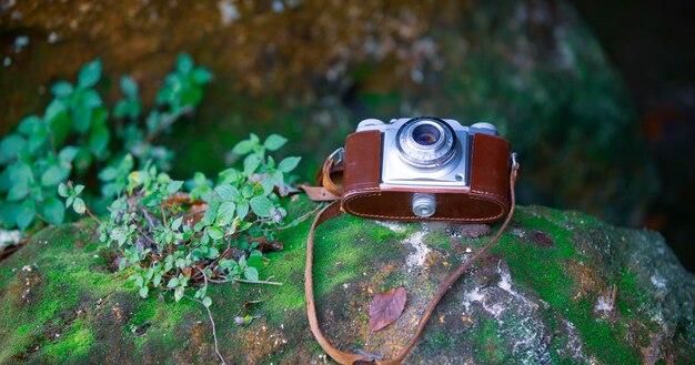 Photo valuable old cameras photographed in nature