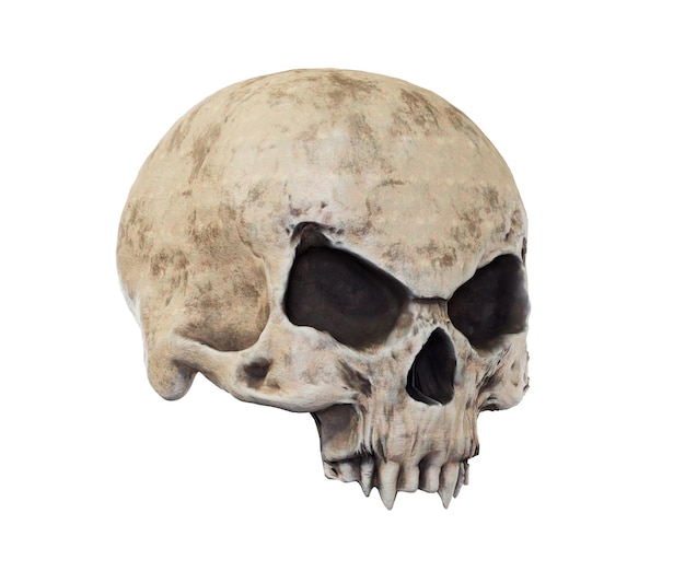 The vampire skull isolated 3d render