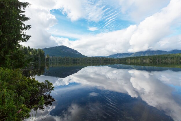 Vancouver Island. Canada