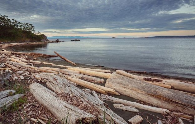 Vancouver island