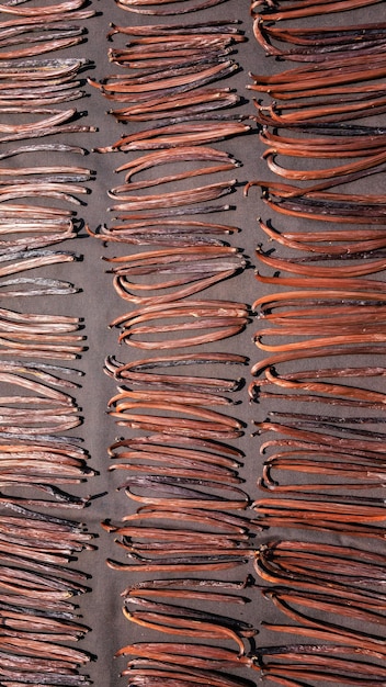 Vanilla pods to dry in the sun on the shelf top view