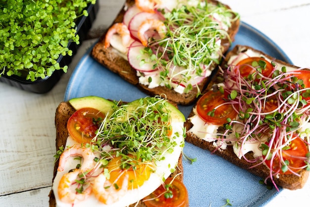 Varied breakfast, appetizer wholegrain bread sandwiches, toasters with cream cheese, top view.