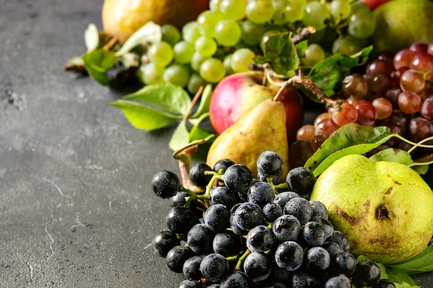 Variety of autumn fruits