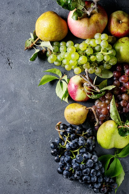 Variety of autumn fruits