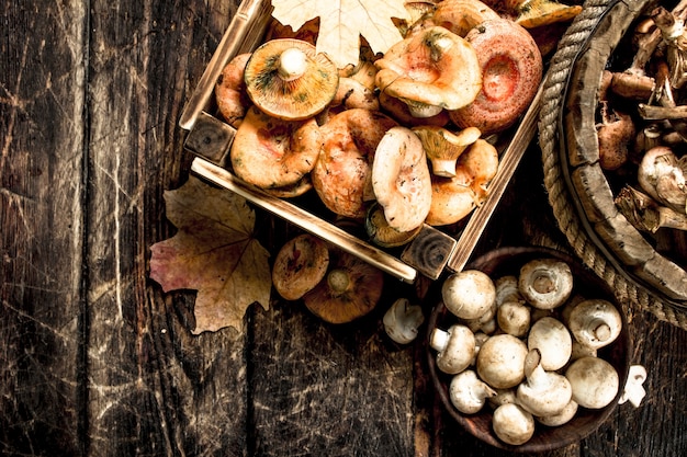 Variety of autumn mushrooms. On a wooden background.