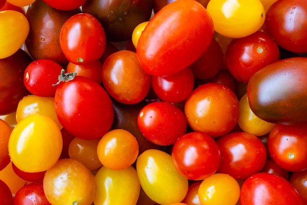 Variety of colorful organic tomato background