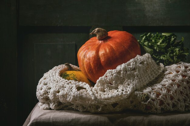 Photo variety of colorful pumpkins