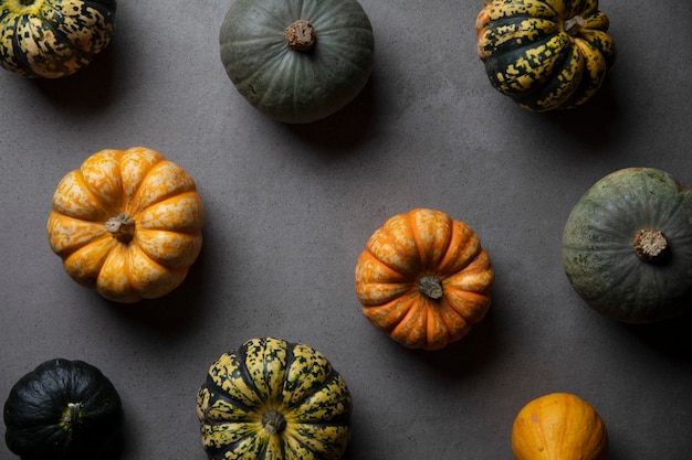 A variety of different autumnal pumpkins and gourds on a dark concrete background.