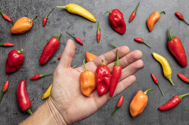 Variety of fresh and dried chili peppers