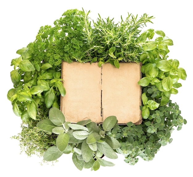 Variety fresh herbs and old recipe book over white background