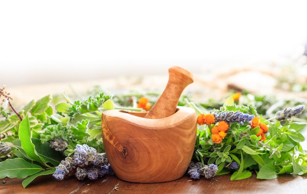 Variety of herbs and mortar on wooden background