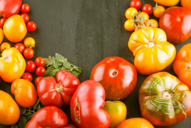 variety of ripe colourful organic tomatoes