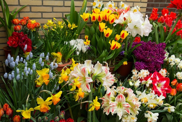 Variety of spring flowers in pots on display in street shop