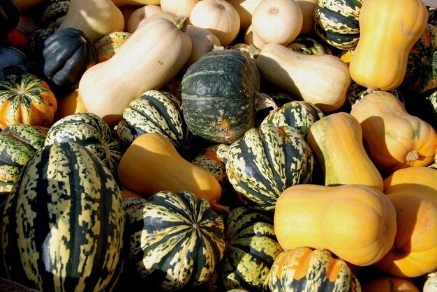 Photo a variety of squash