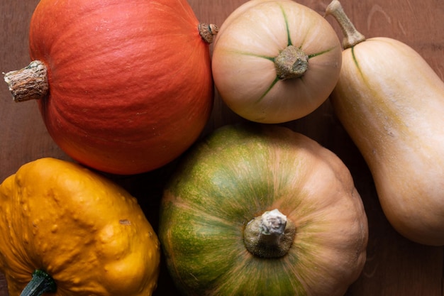 Variety of squashes on a table butternut pattypan pumpkin