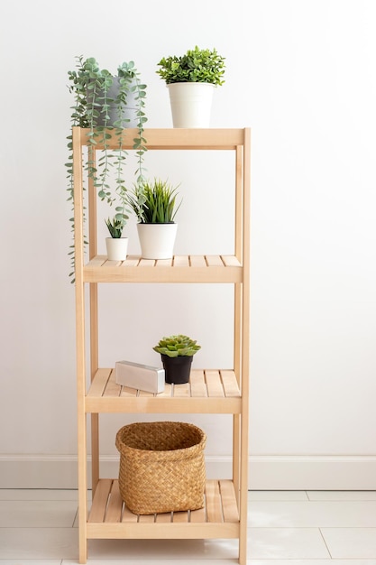 Various artificial succulents plants stand in white ceramic pots on a wooden shelf against a white wall