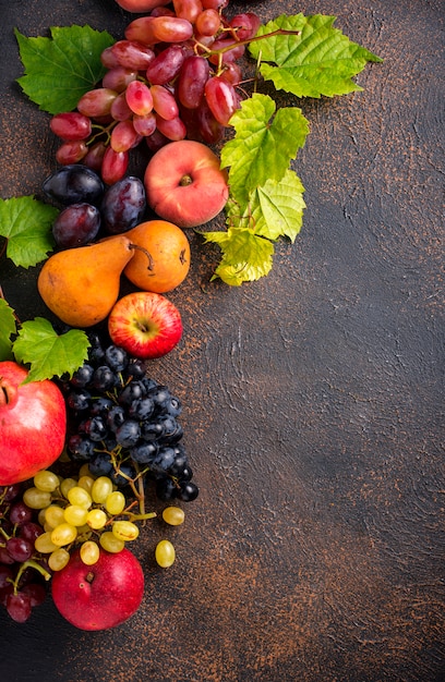 Various autumn fruits