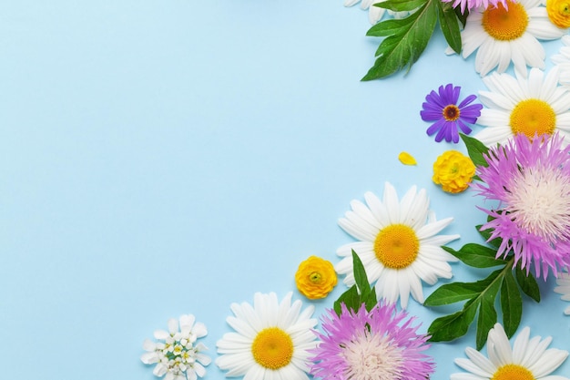 Various colorful garden flowers over blue background