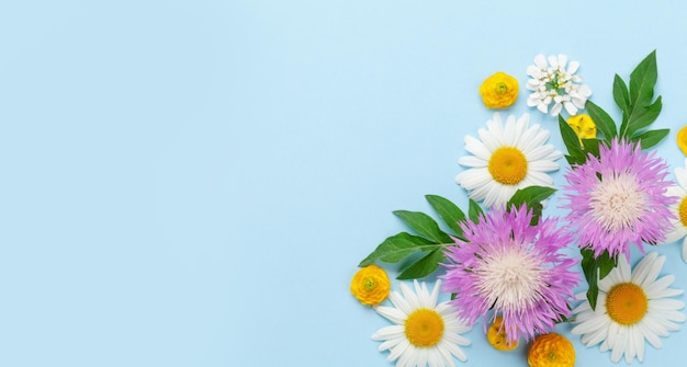 Various colorful garden flowers over blue background