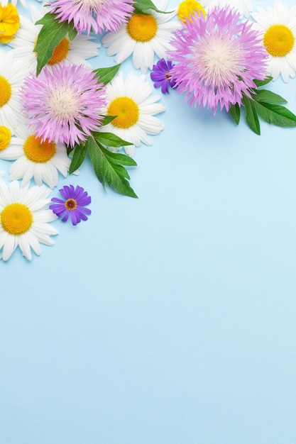 Various colorful garden flowers over blue background