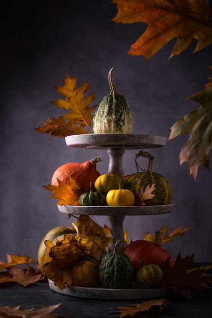 Various decorative pumpkins and colorful leaves