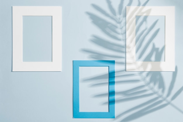 Various frames hanging on a wall and leaves shadows