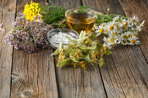 Various fresh herbs hanging on table