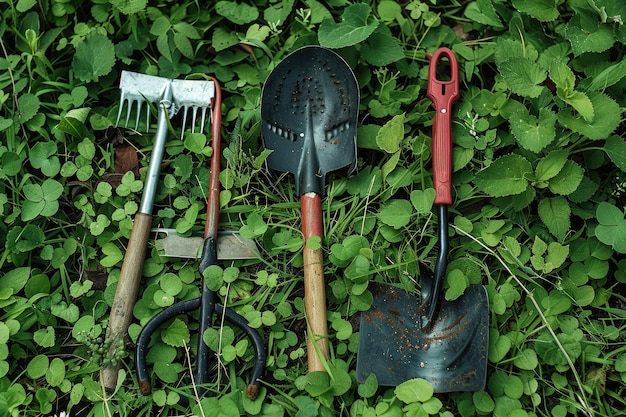 Various Gardening Tools Laying On Grass