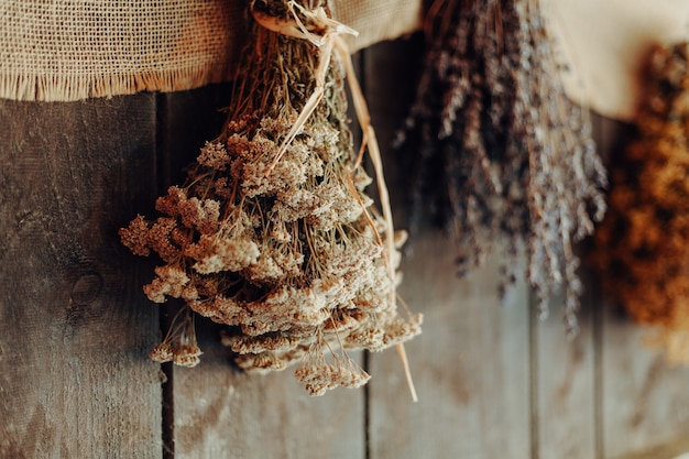 Various herbs hang to dry on a wooden wall